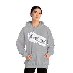 A trio of Fairywrens (spendid, superb and lovely) | Unisex Heavy Blend™ Hooded Sweatshirt Printify
