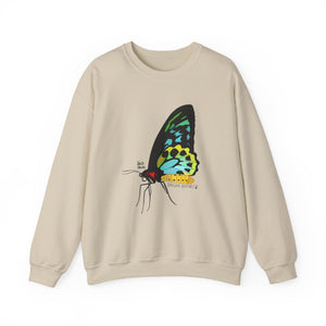 Birdwing Butterfly Sweatshirt | Unisex Heavy Blend™ Crewneck Printify