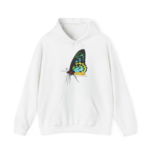 Birdwing Butterfly | Unisex Heavy Blend™ Hooded Sweatshirt Printify