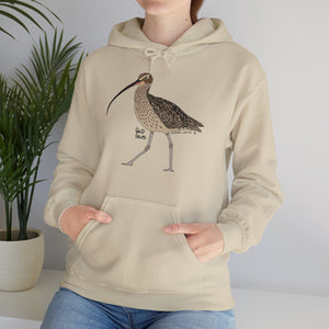 Eastern Curlew | Unisex Heavy Blend™ Hooded Sweatshirt Printify