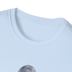 Wedge-tailed Eagle (pastel design) - Unisex Softstyle T-Shirt Printify