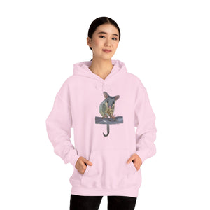 Common Brushtail Possum | Unisex Heavy Blend™ Hooded Sweatshirt Printify
