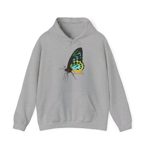Birdwing Butterfly | Unisex Heavy Blend™ Hooded Sweatshirt Printify