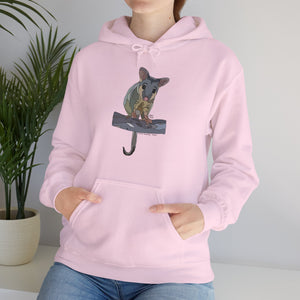 Common Brushtail Possum | Unisex Heavy Blend™ Hooded Sweatshirt Printify