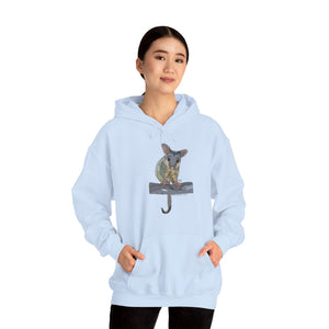 Common Brushtail Possum | Unisex Heavy Blend™ Hooded Sweatshirt Printify