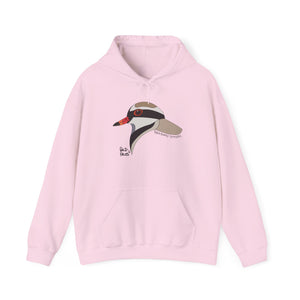 Black-fronted Dotterel | Unisex Heavy Blend™ Hooded Sweatshirt Printify