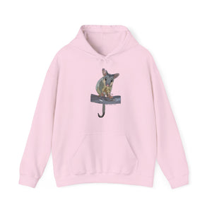 Common Brushtail Possum | Unisex Heavy Blend™ Hooded Sweatshirt Printify