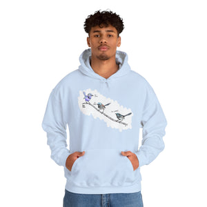 A trio of Fairywrens (spendid, superb and lovely) | Unisex Heavy Blend™ Hooded Sweatshirt Printify