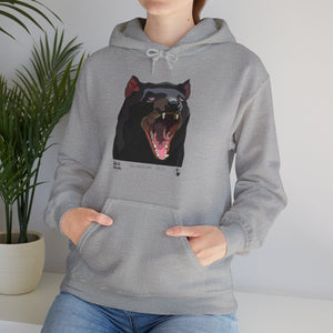Tasmanian Devil | Unisex Heavy Blend™ Hooded Sweatshirt Printify