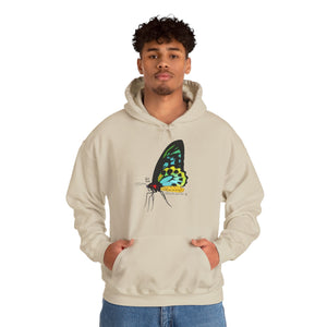 Birdwing Butterfly | Unisex Heavy Blend™ Hooded Sweatshirt Printify