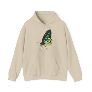 Birdwing Butterfly | Unisex Heavy Blend™ Hooded Sweatshirt Printify