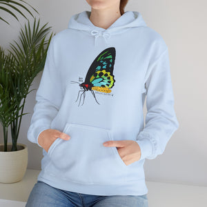 Birdwing Butterfly | Unisex Heavy Blend™ Hooded Sweatshirt Printify
