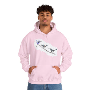 A trio of Fairywrens (spendid, superb and lovely) | Unisex Heavy Blend™ Hooded Sweatshirt Printify