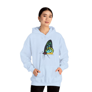 Birdwing Butterfly | Unisex Heavy Blend™ Hooded Sweatshirt Printify