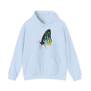 Birdwing Butterfly | Unisex Heavy Blend™ Hooded Sweatshirt Printify