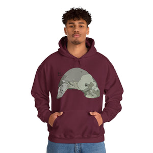 Dugong | Unisex Heavy Blend™ Hooded Sweatshirt Printify