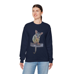 Common Brushtail Possum Sweatshirt | Unisex Heavy Blend™ Crewneck Printify