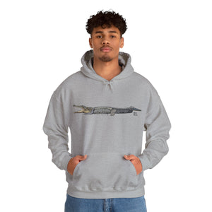 Saltwater Crocodile | Unisex Heavy Blend™ Hooded Sweatshirt Printify