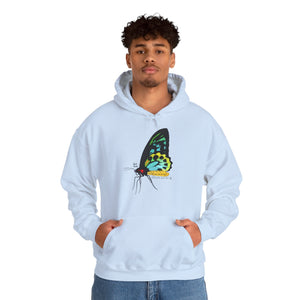 Birdwing Butterfly | Unisex Heavy Blend™ Hooded Sweatshirt Printify