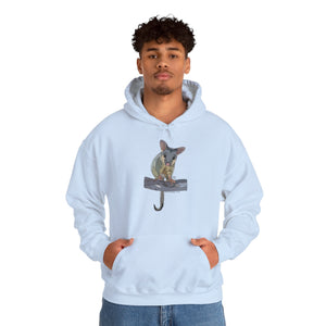 Common Brushtail Possum | Unisex Heavy Blend™ Hooded Sweatshirt Printify