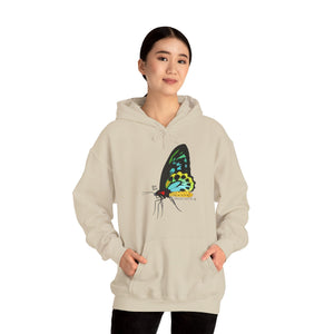 Birdwing Butterfly | Unisex Heavy Blend™ Hooded Sweatshirt Printify