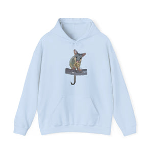 Common Brushtail Possum | Unisex Heavy Blend™ Hooded Sweatshirt Printify