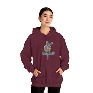 Common Brushtail Possum | Unisex Heavy Blend™ Hooded Sweatshirt Printify