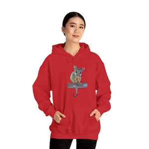 Common Brushtail Possum | Unisex Heavy Blend™ Hooded Sweatshirt Printify