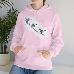A trio of Fairywrens (spendid, superb and lovely) | Unisex Heavy Blend™ Hooded Sweatshirt Printify