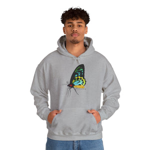 Birdwing Butterfly | Unisex Heavy Blend™ Hooded Sweatshirt Printify