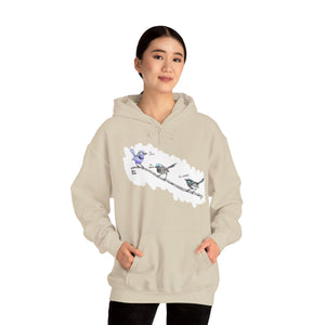 A trio of Fairywrens (spendid, superb and lovely) | Unisex Heavy Blend™ Hooded Sweatshirt Printify