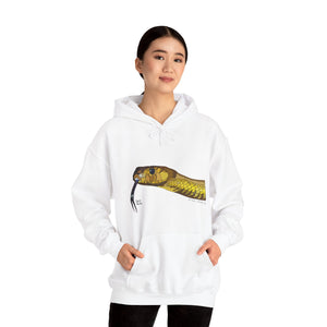 Inland Taipan | Unisex Heavy Blend™ Hooded Sweatshirt Printify