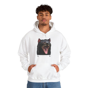Tasmanian Devil | Unisex Heavy Blend™ Hooded Sweatshirt Printify