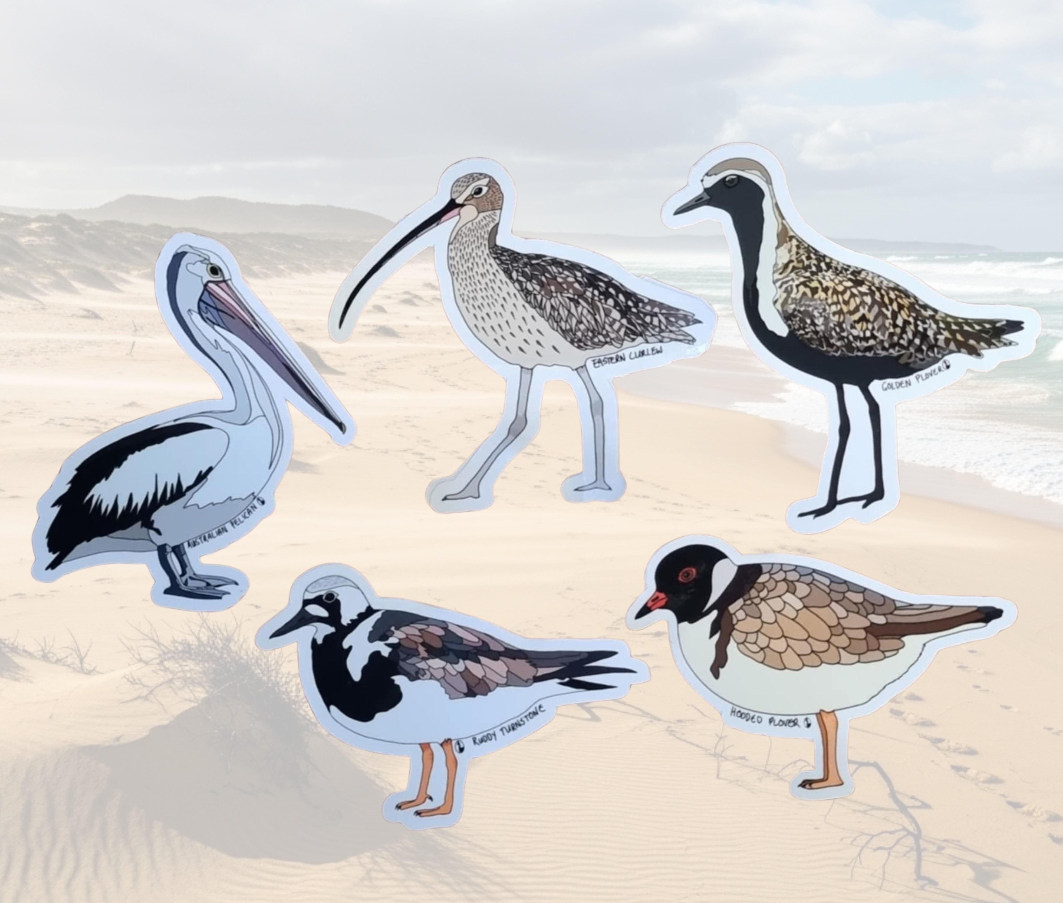 Sea and shorebird sticker pack