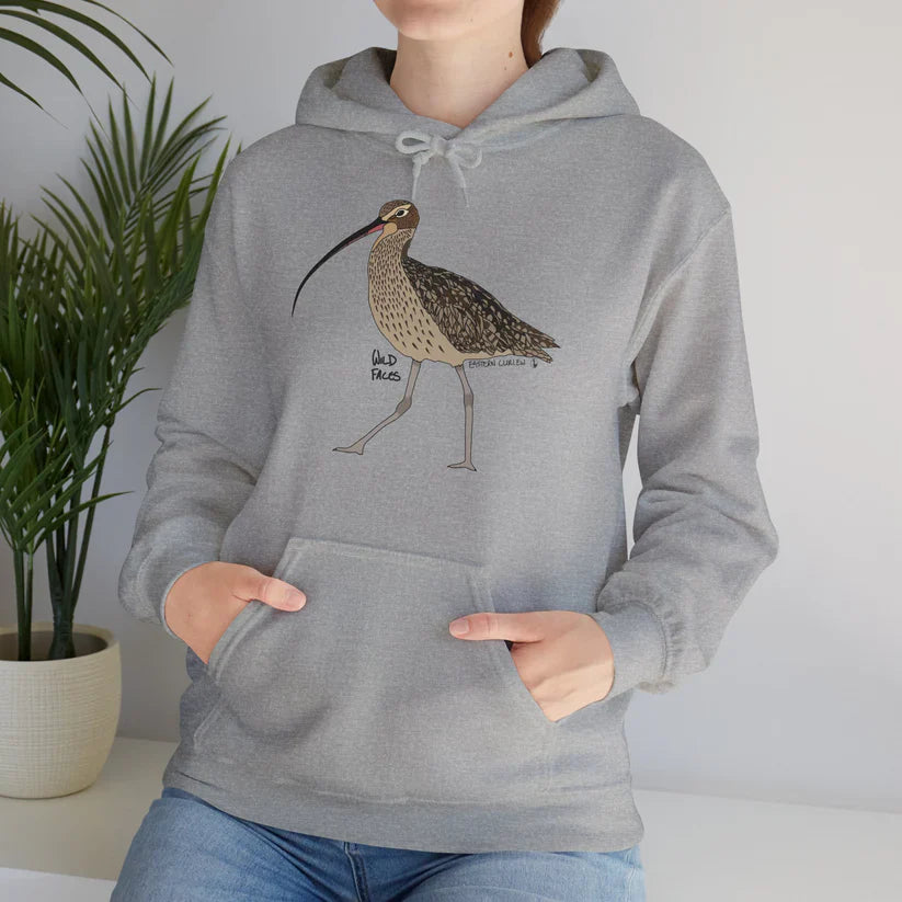 Spotting the Eastern Curlew
