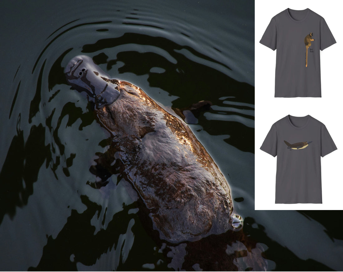 Playpus swimming with images of australian wildlife designs on shirts superimposed on top