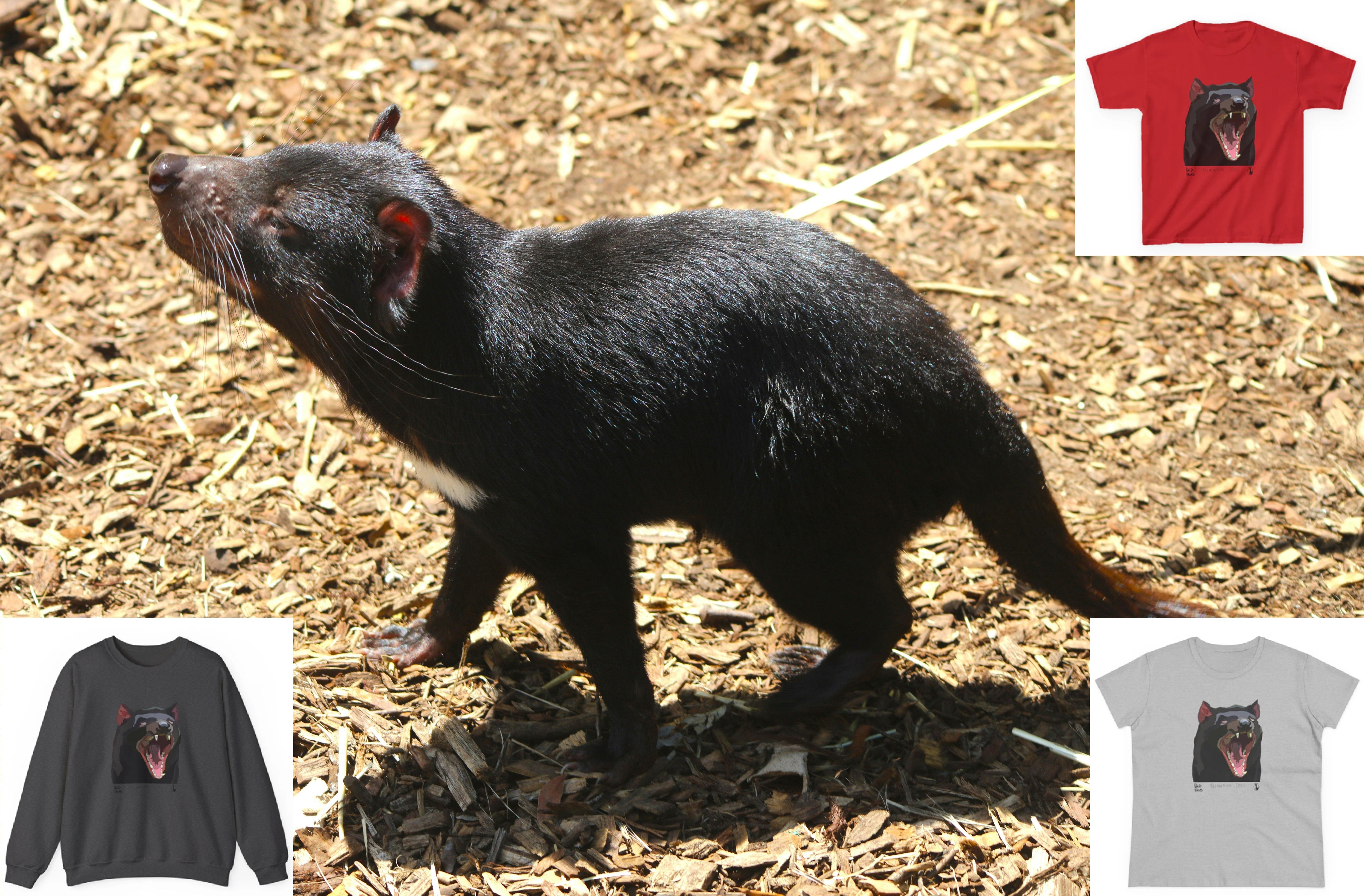 🐾 Where the Wild Things Growl: How to Spot Tasmanian Devils in the Wild