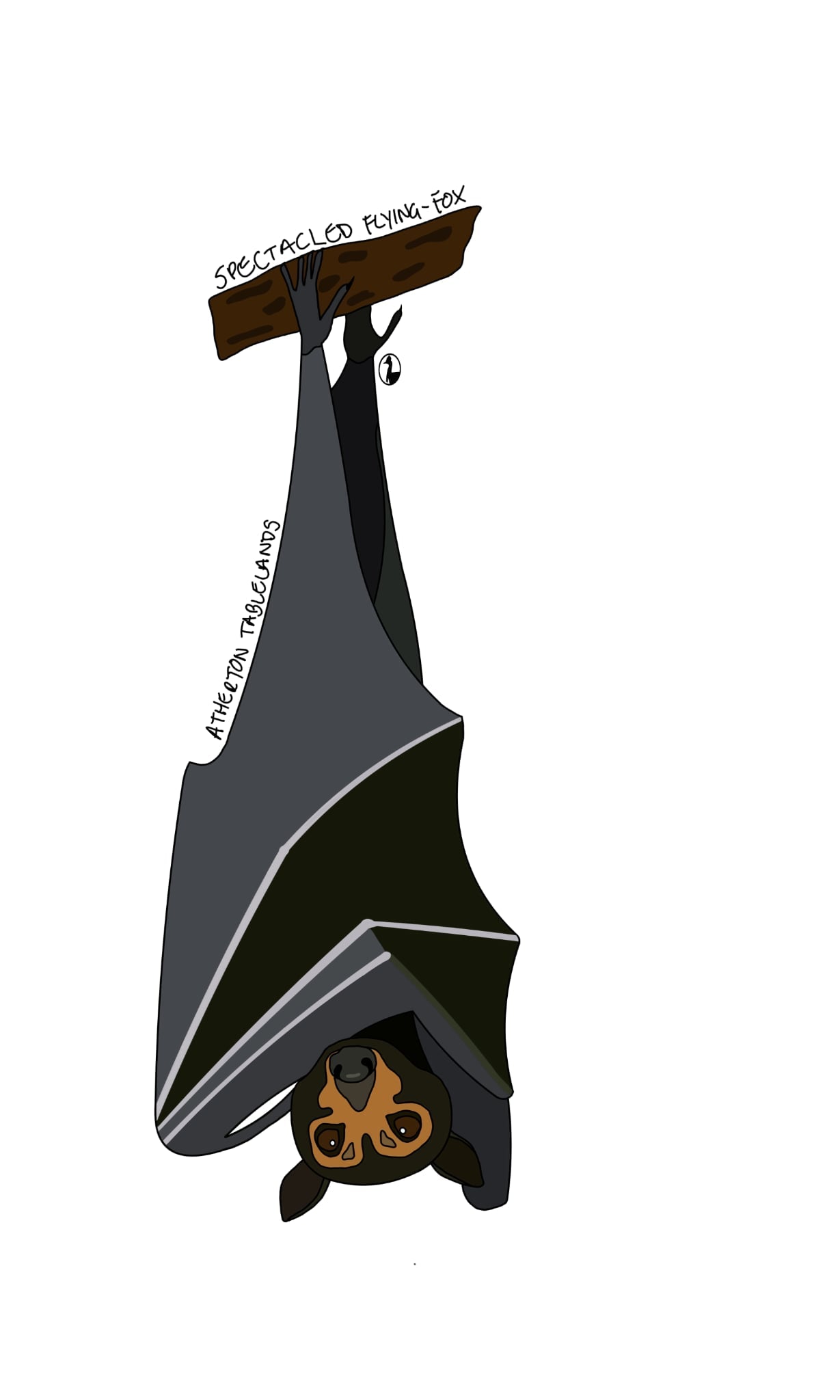 Spectacled flying fox design