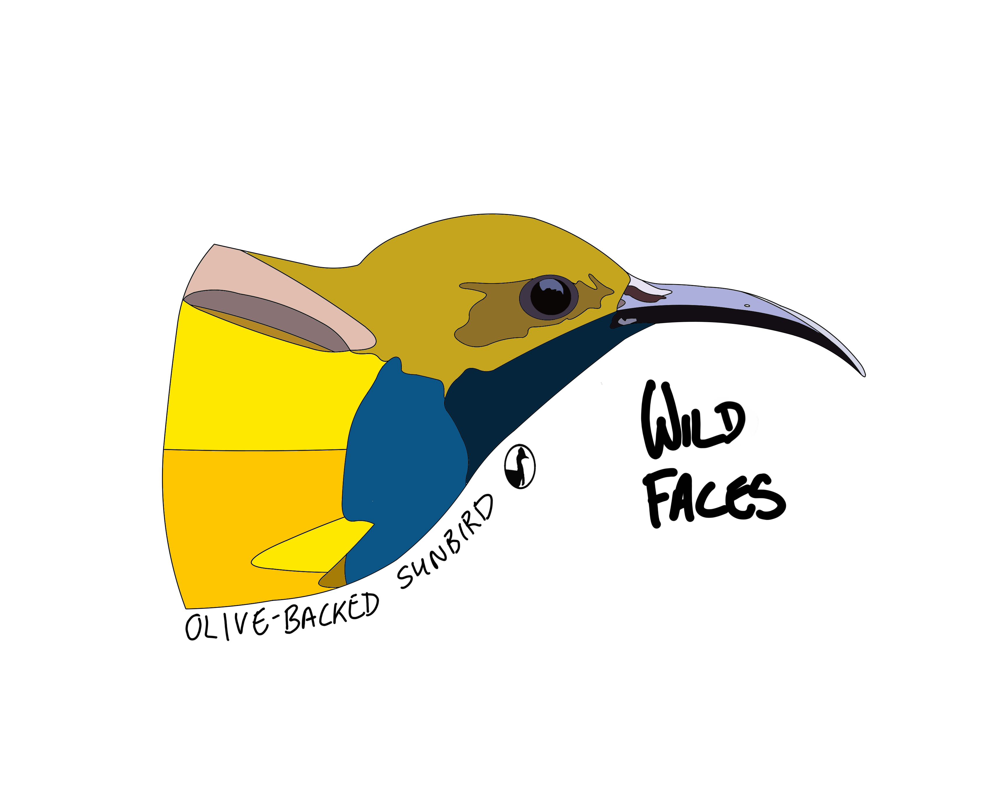 Olive-backed-Sunbird Wild Faces