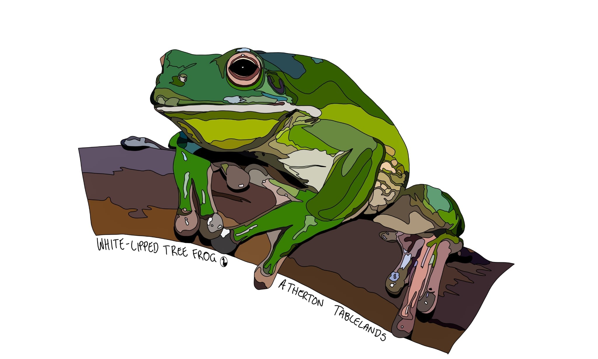 Green tree frog