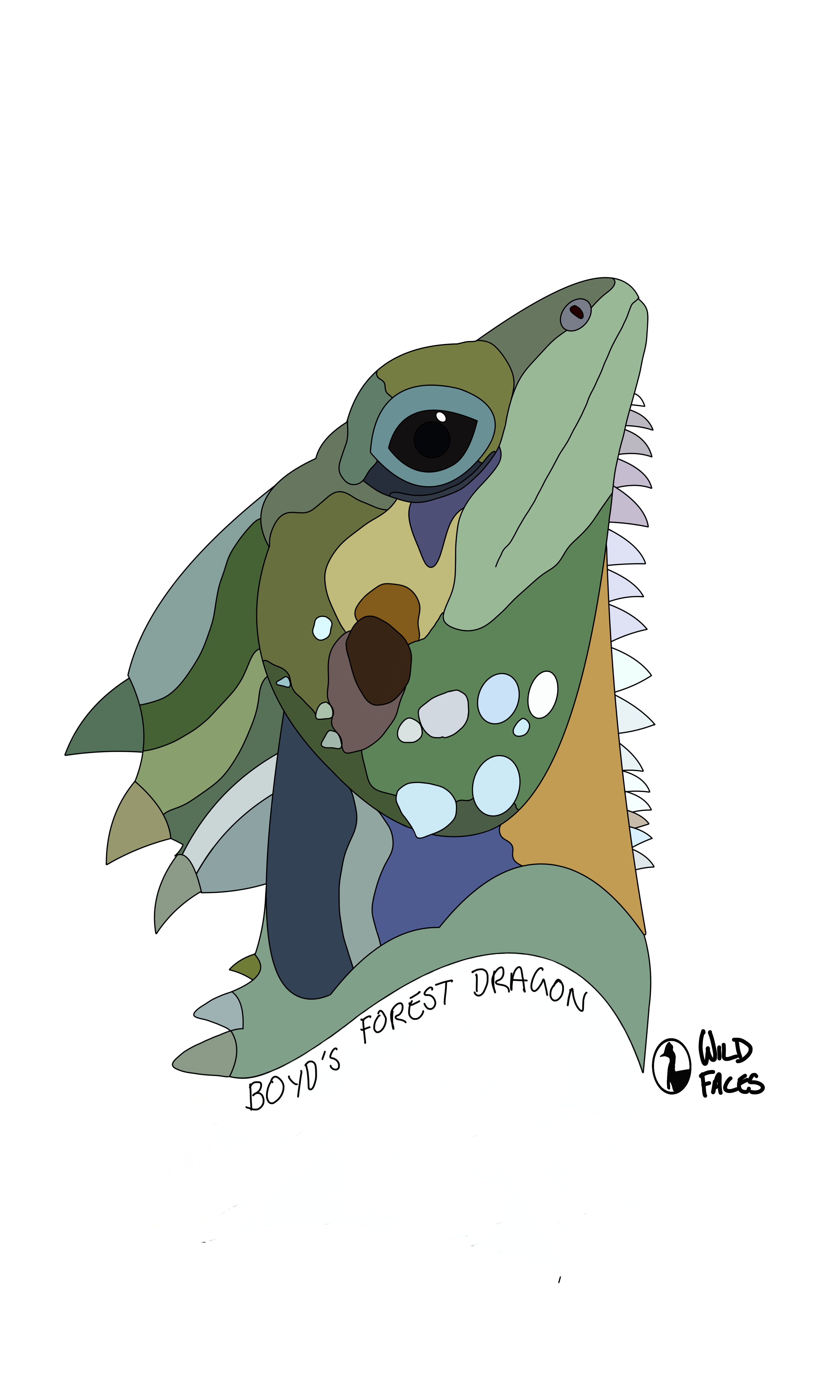 Boyd's Forest Dragon design