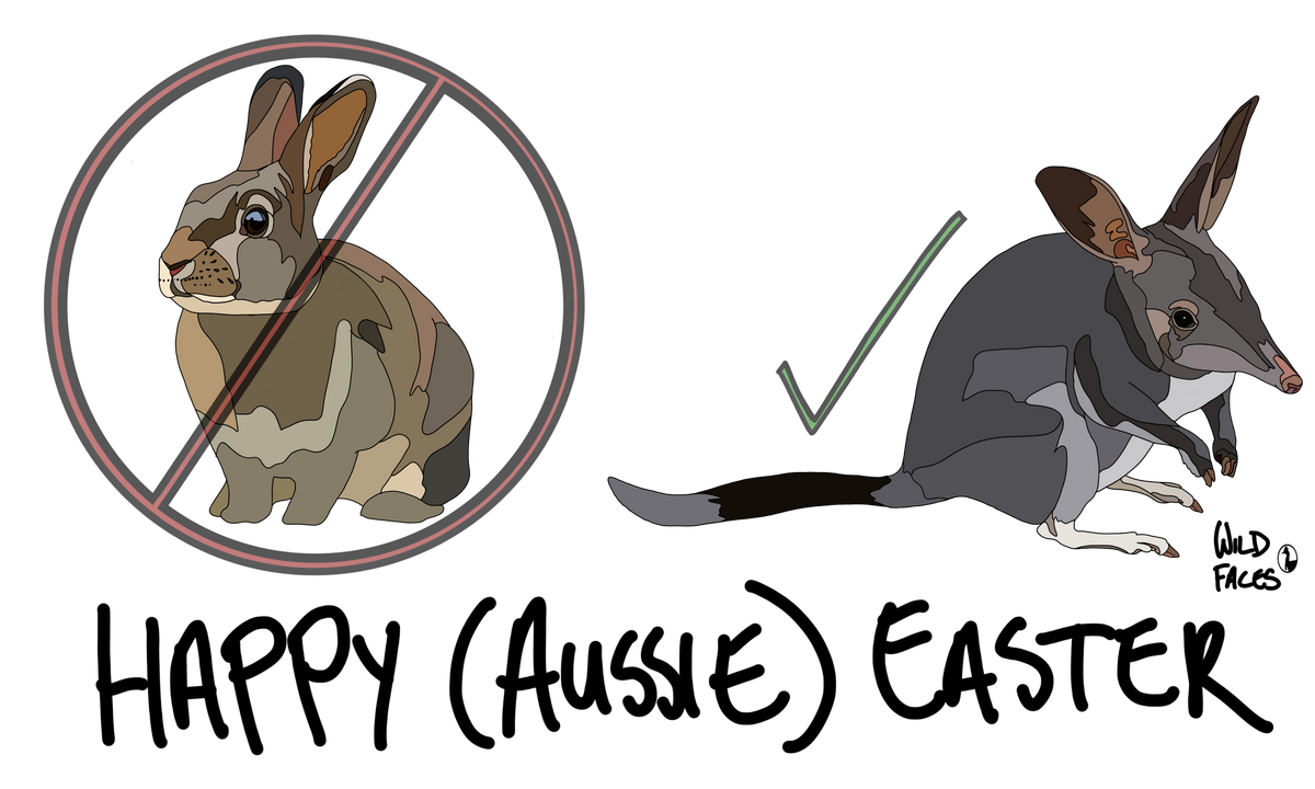 a crossed out bunny is next to a bilby with a tick. The caption reads "Happy (Aussie) Easter"