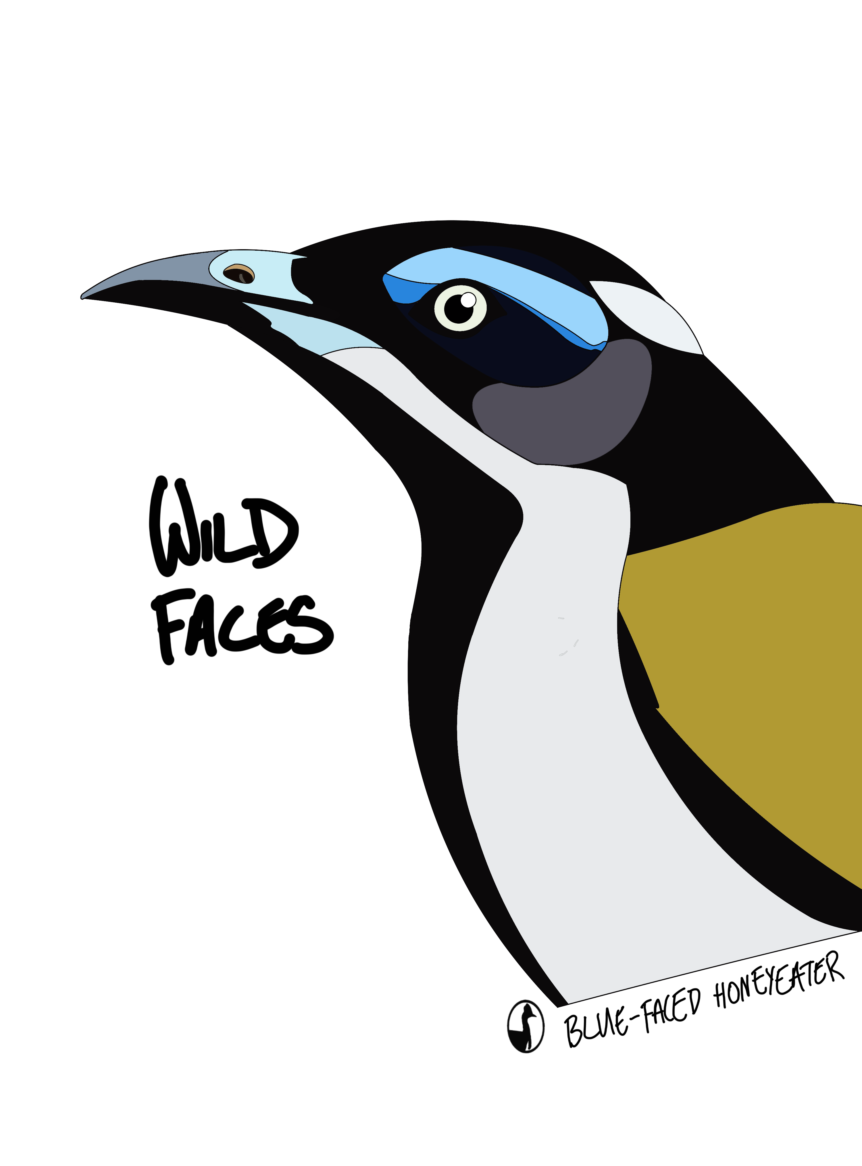 Blue-faced-Honeyeater Wild Faces