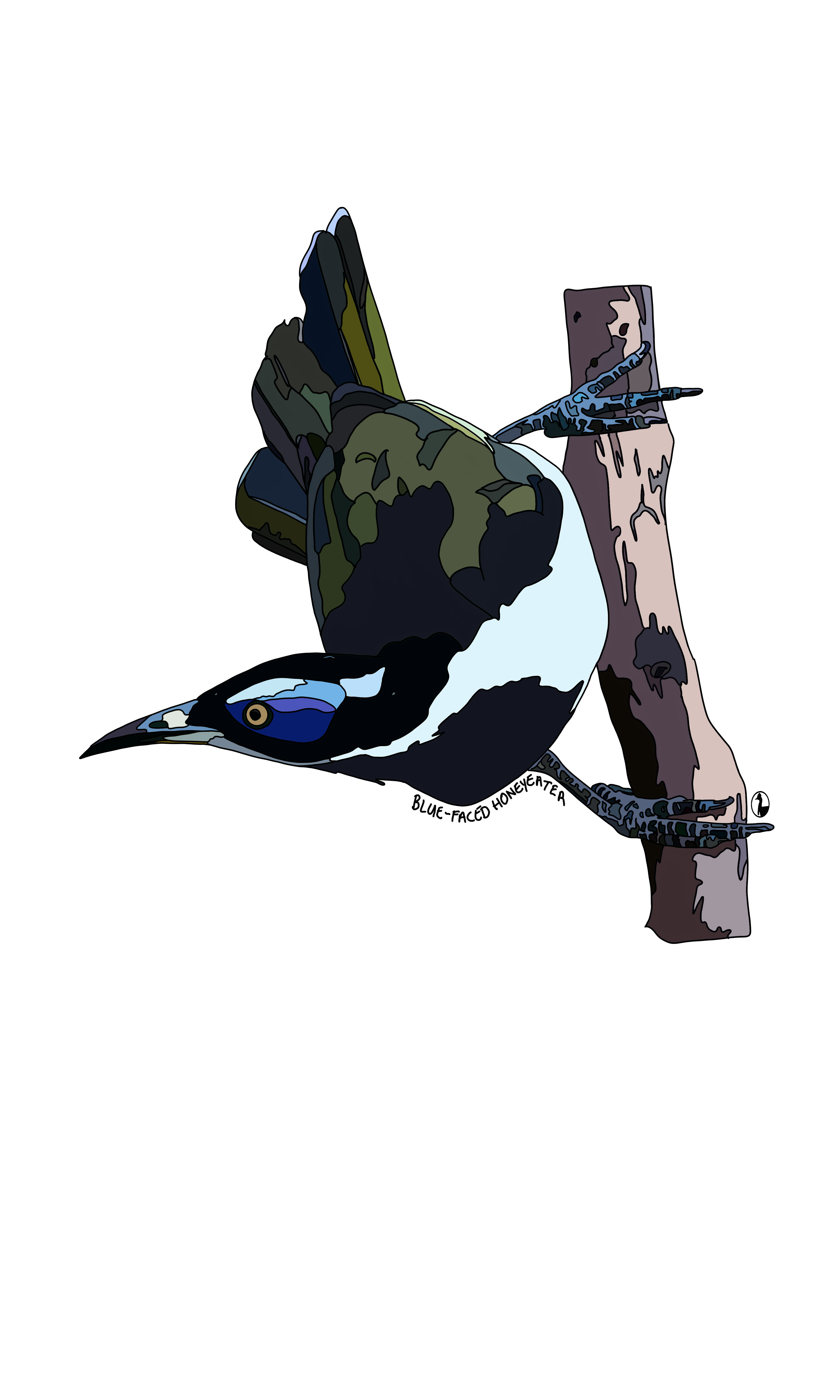 Blue-faced Honeyeater
