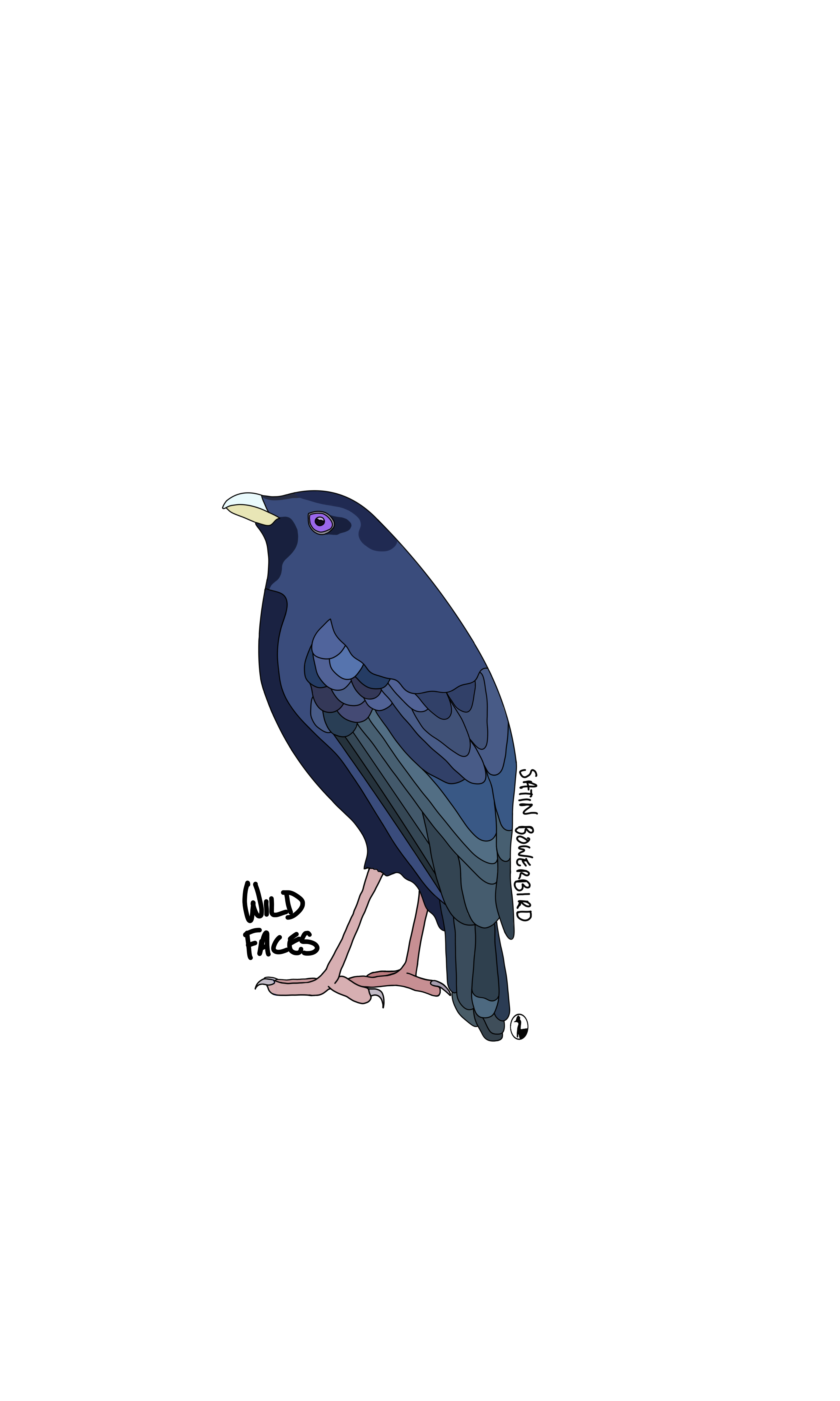 A prod satin bowerbird design