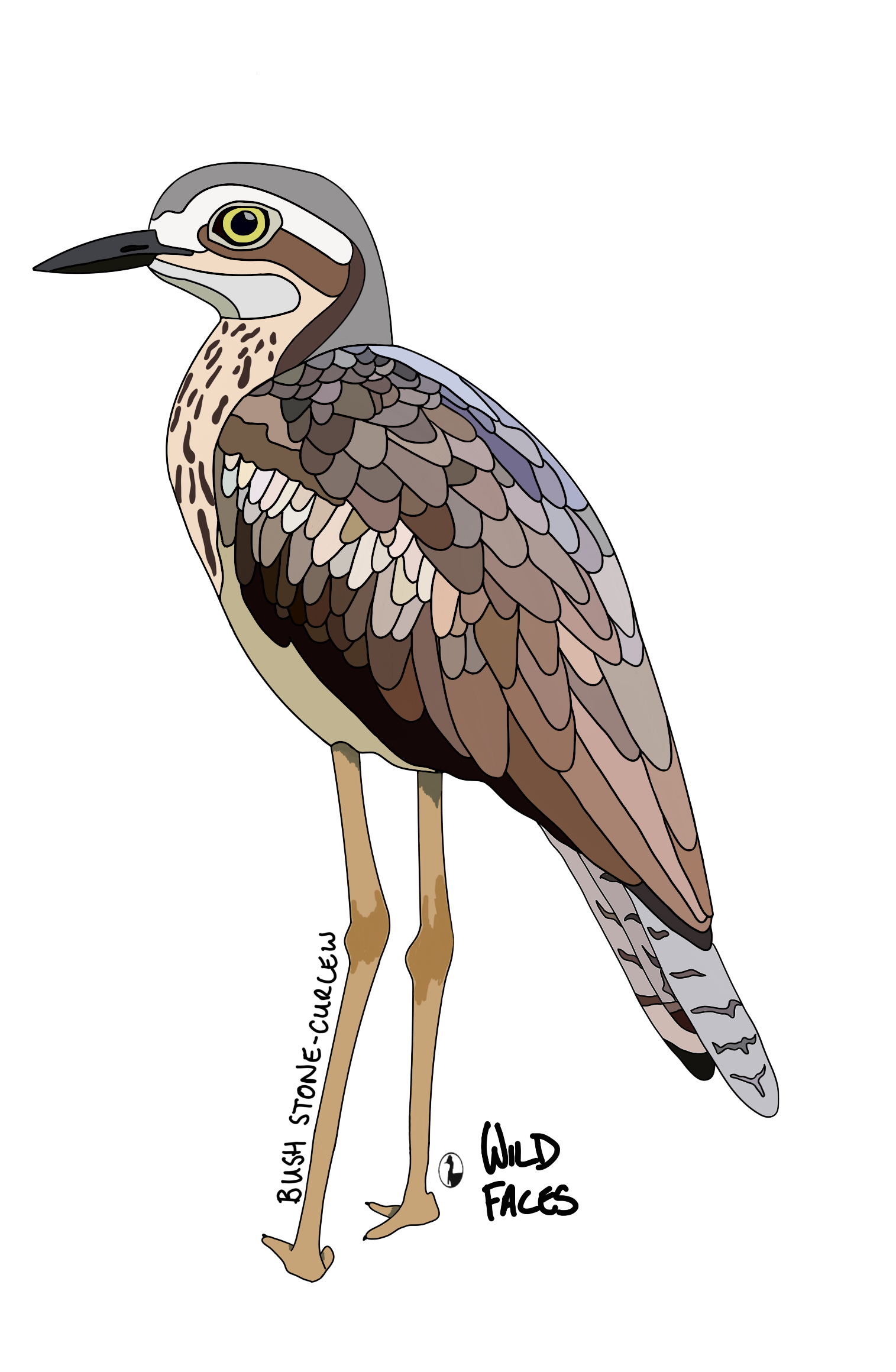 Bush-Stone-Curlew Wild Faces