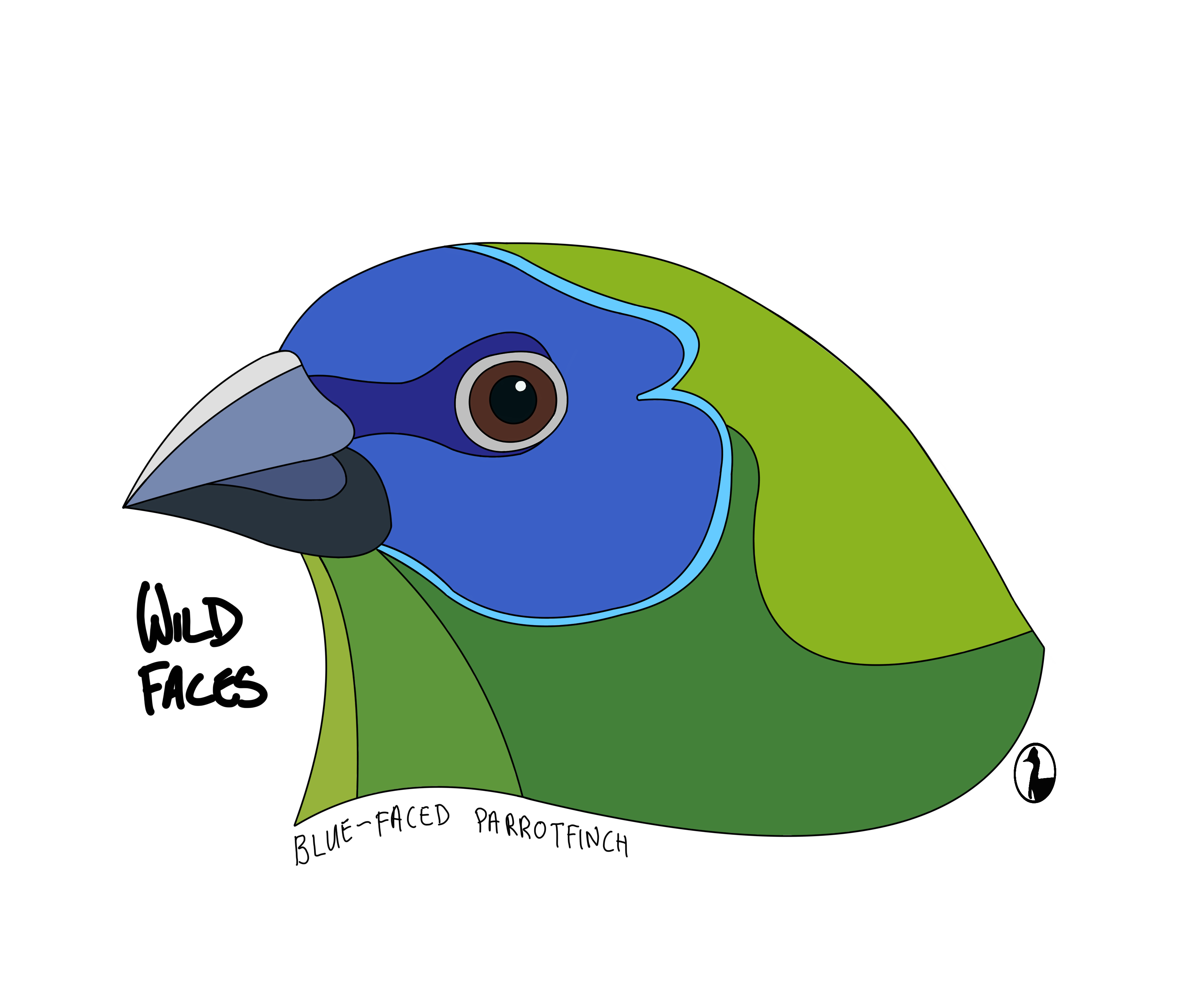 Blue-faced-Parrotfinch Wild Faces