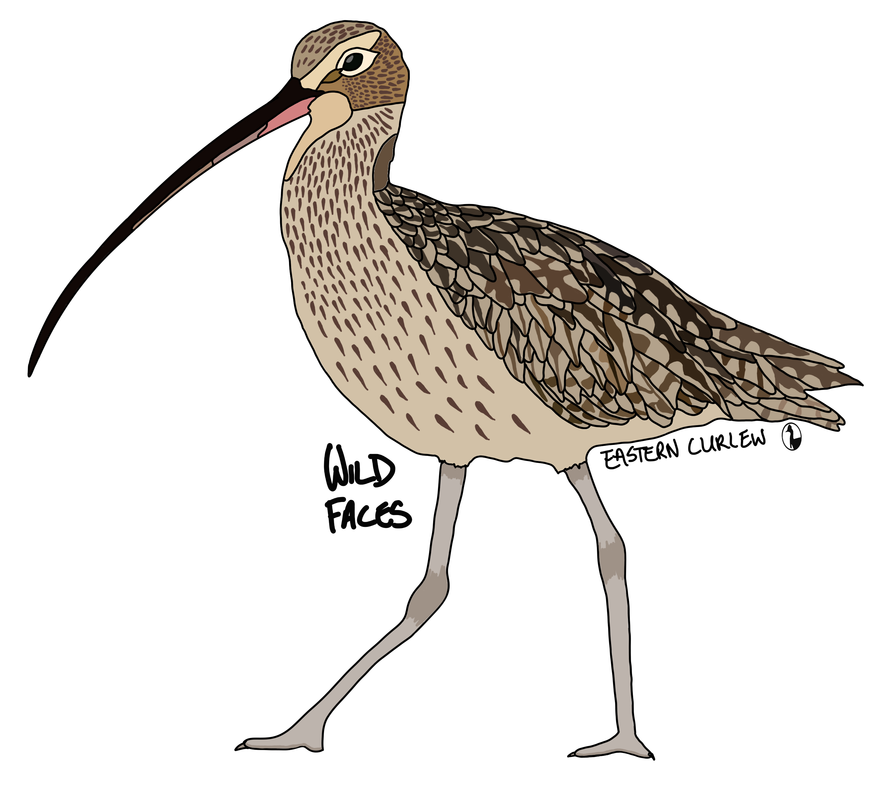 Eastern-Curlew Wild Faces