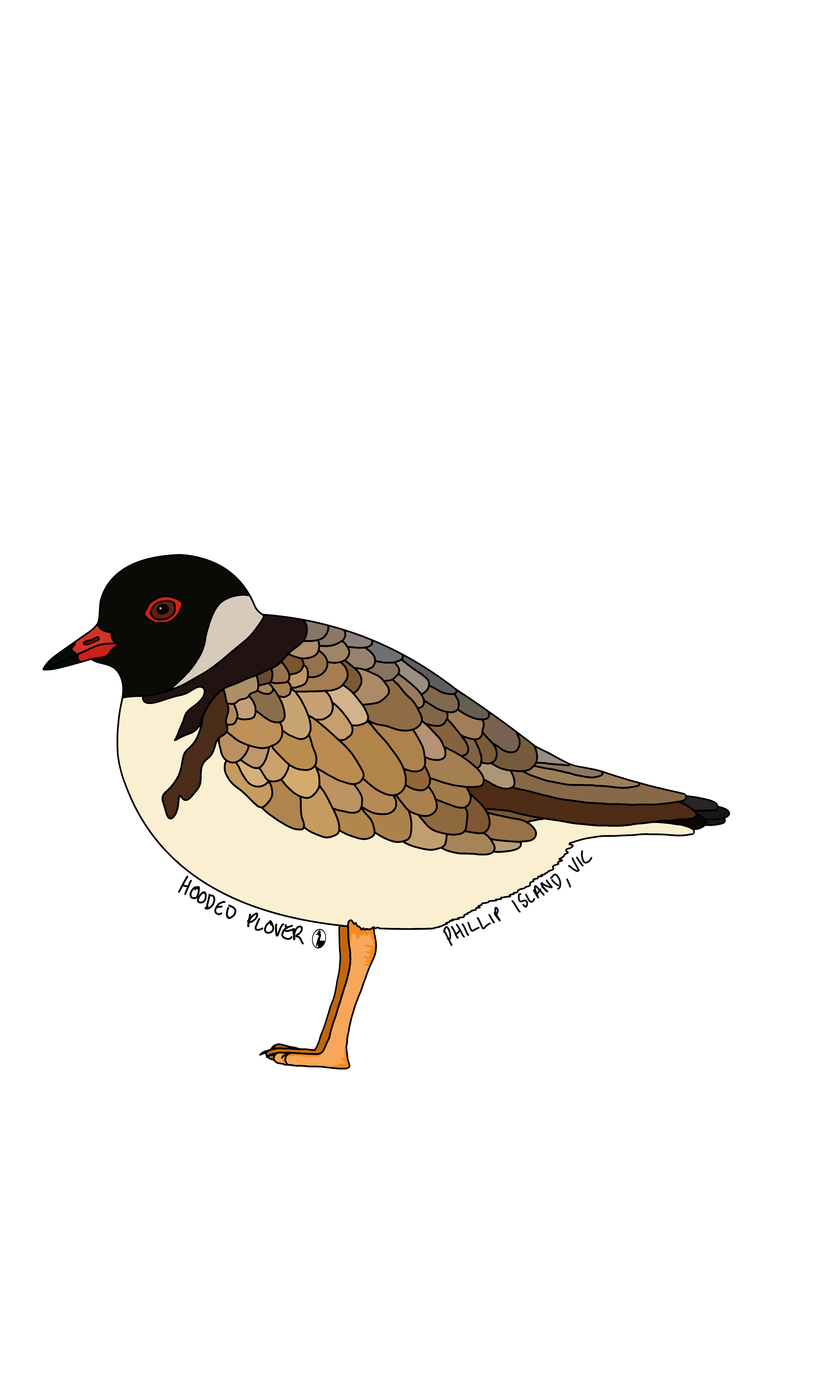 Hooded Plover design