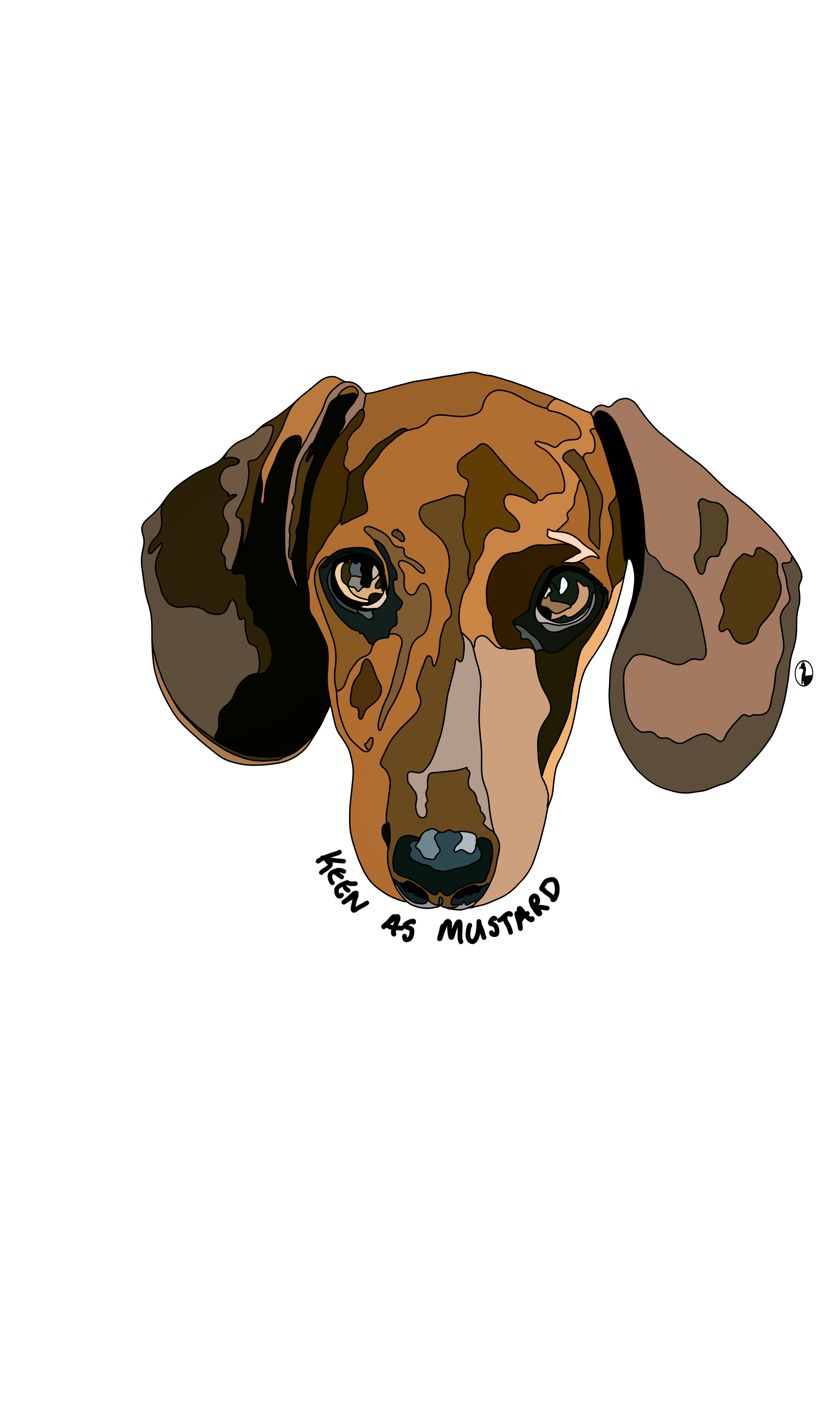 Dachshund